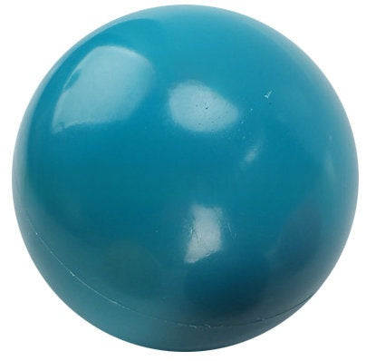 Weighted Sand-Filled Exercise Ball