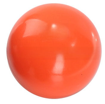 Weighted Sand-Filled Exercise Ball