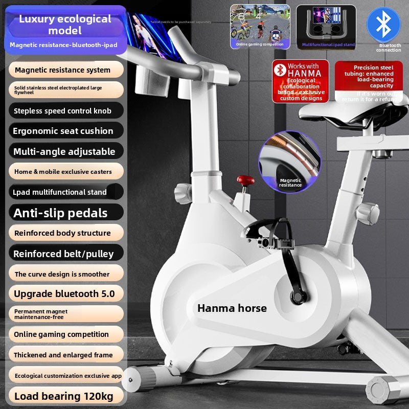Magnetic Resistance Indoor Spinning Bike