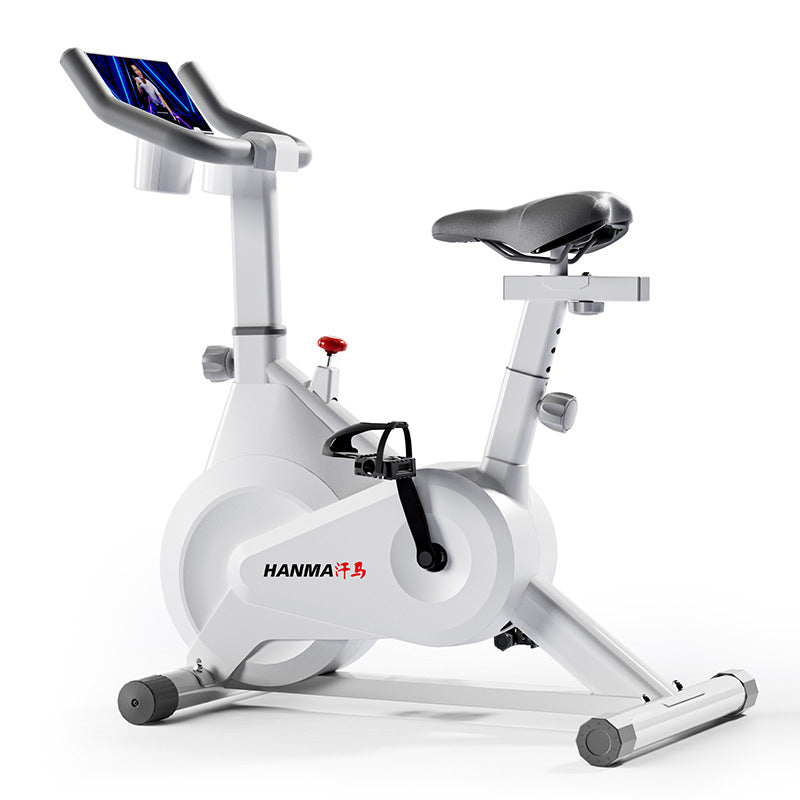 Magnetic Resistance Indoor Spinning Bike