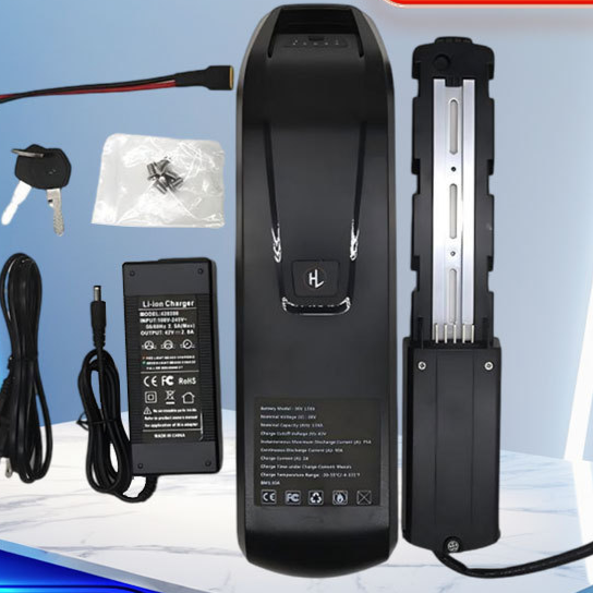 48V Lithium Battery Pack for Electric Bikes