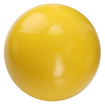 Weighted Sand-Filled Exercise Ball