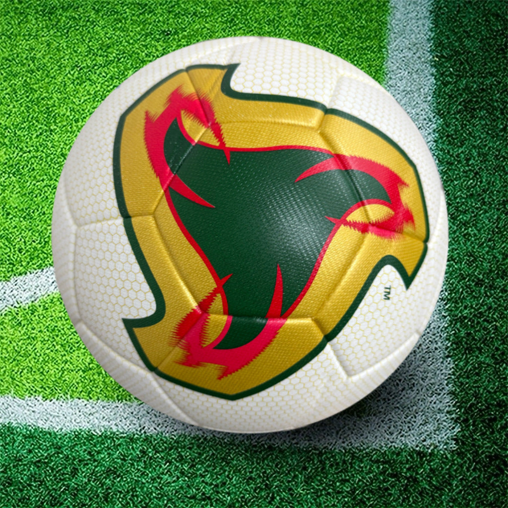 FIFA Standard Size 5 Soccer Ball